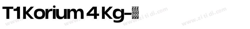 T1 Korium 4 Kg字体转换